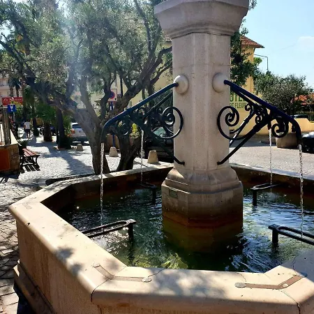 Vakantiehuis Maison Calme 3 Pieces Avec Terrasse, Clim Et Garage - - Fr-1-251-502 Le Lavandou