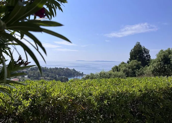 Feriehus Maison Calme 3 Pieces Avec Terrasse, Clim Et Garage - - Fr-1-251-502 *